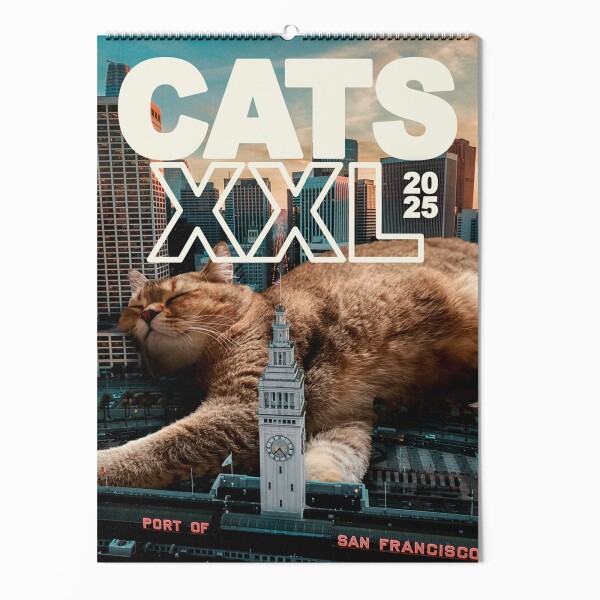 "CATS XXL" Fotokalender 2025