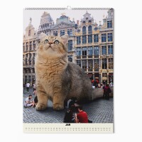 "CATS XXL" Fotokalender 2025