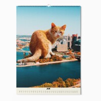 "CATS XXL" Fotokalender 2025