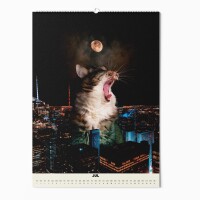 "CATS XXL" Fotokalender 2025