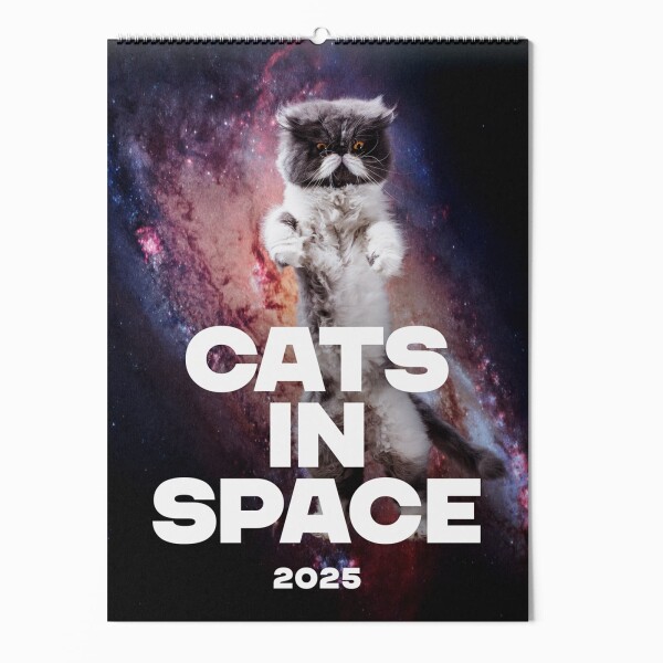 "CATS IN SPACE" Fotokalender 2025