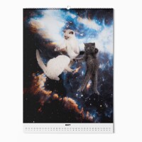 "CATS IN SPACE" Fotokalender 2025