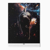 "CATS IN SPACE" Fotokalender 2025