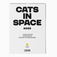 "CATS IN SPACE" Fotokalender 2025