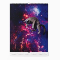 "CATS IN SPACE" Fotokalender 2025