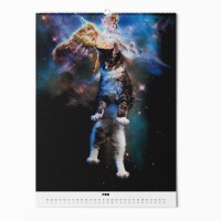 "CATS IN SPACE" Fotokalender 2025