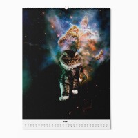 "CATS IN SPACE" Fotokalender 2025