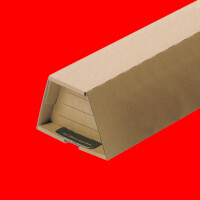 Schutzverpackung / Karton für Plakate bis DIN A2
