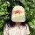 "Biene Chaya" Cap (pastel lemon) von Gianluca Scigliano