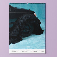 "Soft Cars" photo calendar 2027 by Tina Bobbe